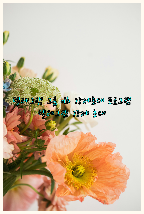 텔레그램 번호 디비 강제초대
