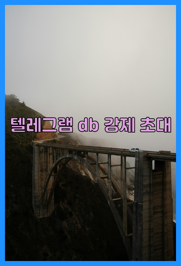 텔레그램 번호 디비 강제초대